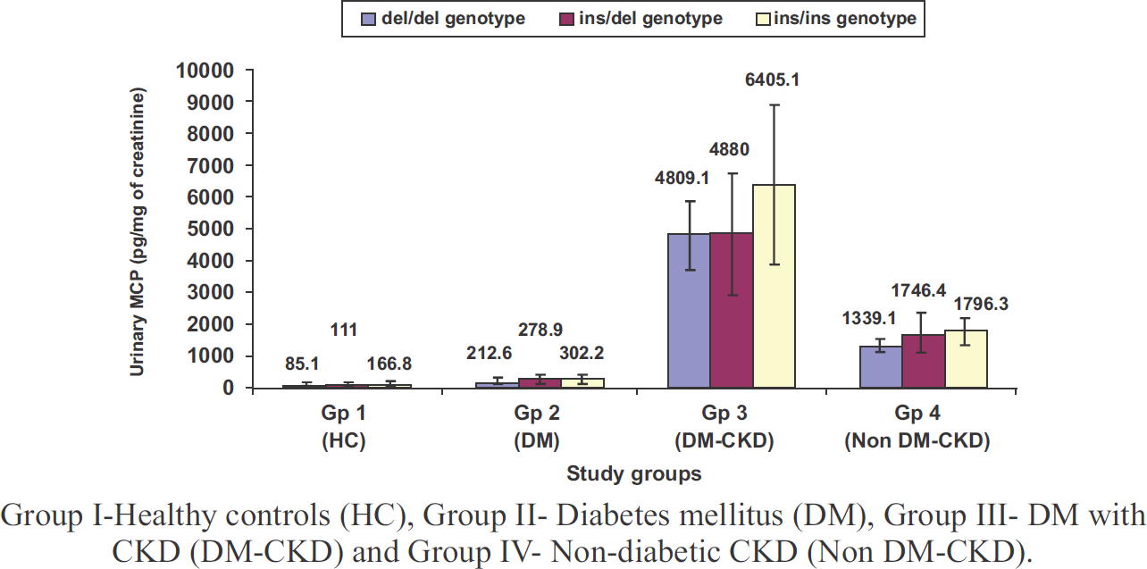 Urinary MCP-1 levels in relation to different NF-kB1 genotypes in various study groups