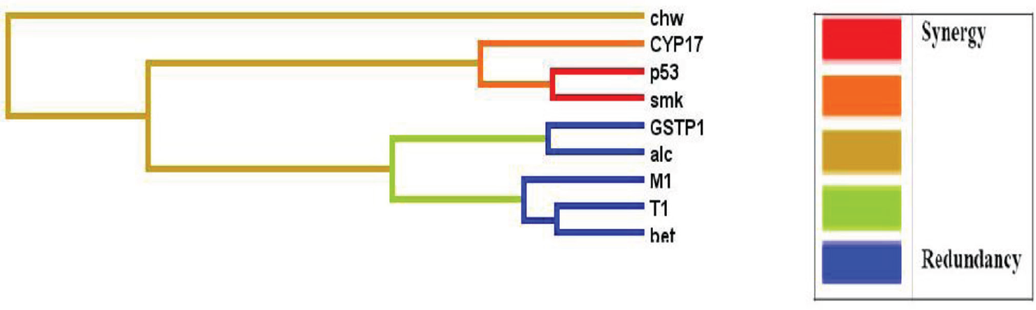 Interaction dendrogram for the breast cancer dataset: graphical representation of interactions between nine attributes (GST1 (T1), GSTM1 (M1), GSTP1, CYP17, TP53 (p53), tobacco smoking (smk), tobacco chewing (chw), betel quid chewers (bet) and alcohol consumption (alc)) from the multifactor dimensionality reduction analysis using an ‘interaction dendrogram’.