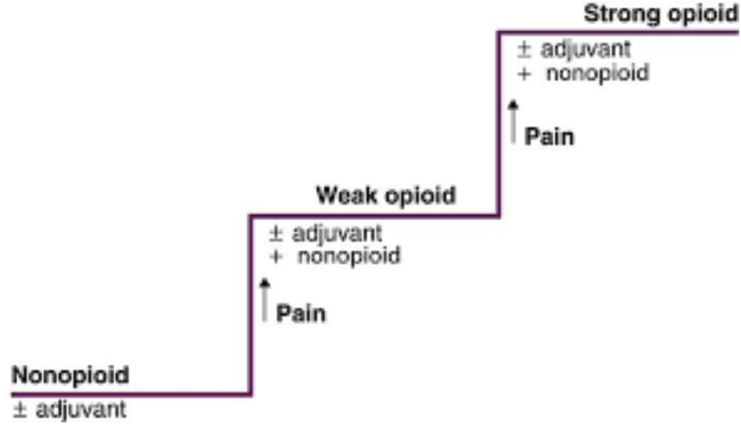 Three step analgesic ladder (fourth step is interventional pain management).