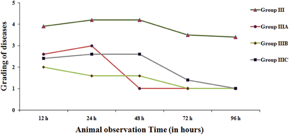 Effect of pseudomonas aeruginosa at reduced dosage when bacteriophage cocktail was given 6 hours later bacterial challenge for clinical grading of diseases based on the time of inoculation. Disease grading denoted by numbering 1: normal; 2: slight illness, lethargy, and ruffled fur; 3: moderate illness, severe lethargy, ruffled fur and hunched back; 4: severe illness with above sign, exudative accumulation around eyes; 5: death. Group III: bacteriophage (Ø) cocktail (100 µL) given 6 hours later to bacterial challenge; group IIIA: Ø cocktail (60 µL) given 6 hours later to bacterial challenge; group IIIB: Ø cocktail (40 µL) given 6 hours later to bacterial challenge; group IIIC: Ø cocktail (20 µL) given 6 hours later to bacterial challenge.