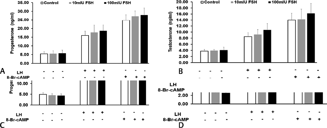 Effect of pituitary FSH on (A) progesterone (B) testosterone secretion; effect of pituitary ACTH on (C) progesterone and (D) testosterone secretion by mouse Leydig tumor cell line-1 cells under basal and treated conditions. LH or 8-Br-cAMP were added after 2 hour preincubation with different doses of FSH or ACTH. Bars represent mean ± standard deviation of three experiments; each experiment was done at least in triplicates (n = 10). ACTH, adrenocorticotropic hormone; FSH, follicle-stimulating hormone.