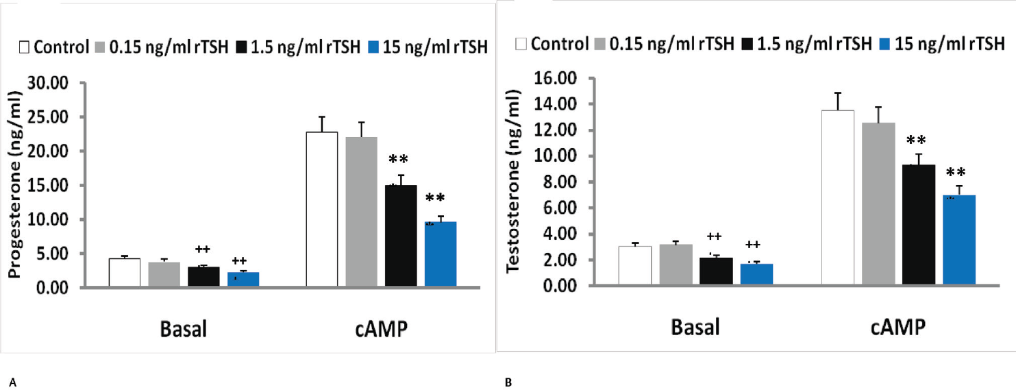 Effect of recombinant TSH (rTSH) on (A) progesterone (B) testosterone secretion by mouse Leydig tumor cell line-1 cells under basal and treated conditions. 8-Br-cAMP was added after 2-hour preincubation with different doses of TSH. Bars represent mean ± standard deviation of three experiments; each experiment was done at least in triplicates (n = 10). +++indicate p < 0.001 in cells treated without and with TSH in the basal group. ***indicate p < 0.001 in cells treated without and with TSH in the 8-Br-cAMP treated group. TSH, thyroid stimulating hormone.