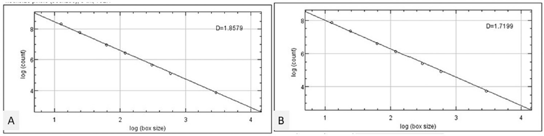 Plot showing the fractal dimension value. (A) Unaffected side and (B) affected side.