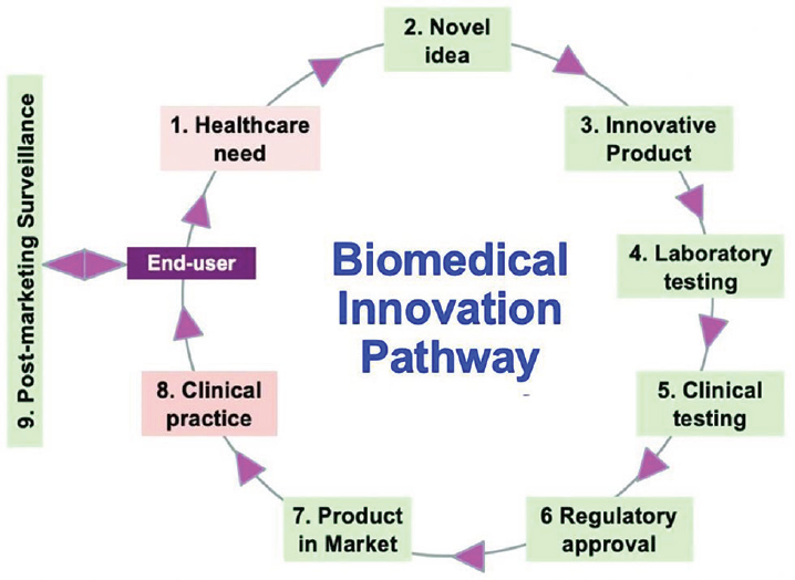 Schematic showing the innovation pathway for biomedical products.