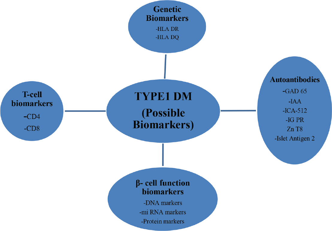 Possible biomarkers in T1DM. GAD-65, glutamic acid decarboxylase-65; IAA, insulin-associated autoantibodies; ICA-512, internal carotid artery-512; IGPR, islet specific glucose-6-phosphatase catalytic subunit related protein; T1DM, type-1 diabetes mellitus; ZnT8, zinc transporter 8.