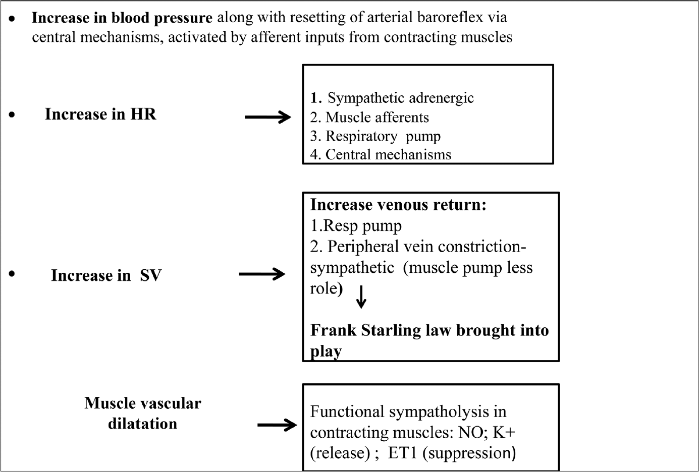 Mechanisms involved in increasing perfusion of working muscles. The figure has been developed based on references 28–32.