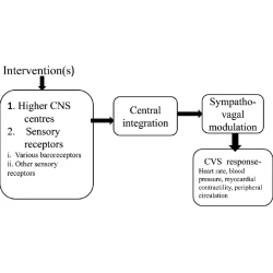 Article figure