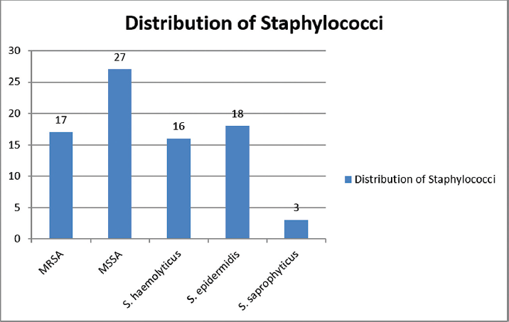 Distribution of staphylococci isolated from various clinical samples.