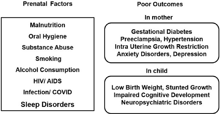 Factors during pregnancy for poor outcomes on maternal and child health.