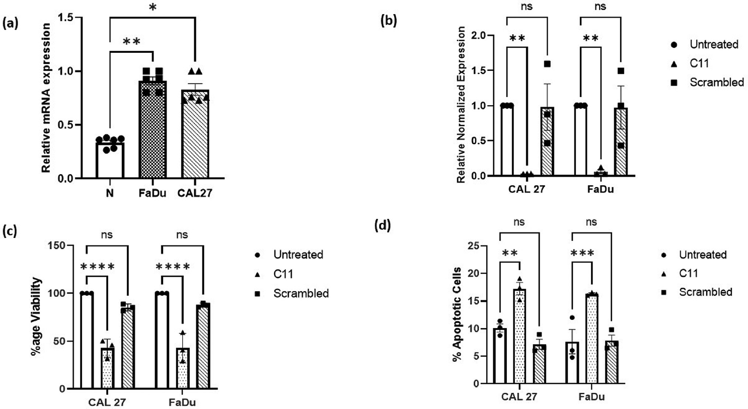(a) Cystatin A gene (CSTA) expression was analyzed by qRT-PCR. CSTA mRNA was significantly upregulated in CAL 27 (p = 0.0248*) and in FaDu (p = 0.0015**) cell lines as compared to normal gingival epithelium tissue (N). Fig 1(b) Cystatin A gene expression levels in CAL 27 and FaDu stable cell lines were analyzed by qRT-PCR. CSTA gene was significantly downregulated by C11 CSTA shRNA-expressing vector, both in CAL 27 (p = 0.0054**) and FaDu (p = 0.0067 **) cell lines as compared to untreated cell lines. Fig 1(c) MTT assay revealed that the percentage viability of cells was significantly decreased both in C11 CAL 27 (p <0.0001****) and FaDu (p <0.0001****) in comparison with that of untreated. There was no significant change in the cell viability in case of scrambled cell lines. Fig 1(d) It was observed that the cisplatin-induced apoptosis was significantly increased in the CAL 27 (p = 0.0025**) and FaDu (p = 0.0005***) cell lines upon the knockdown of CSTA as compared to the untreated cell line. The induction of apoptosis in scrambled control was almost similar to that of untreated.