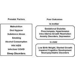 Article figure