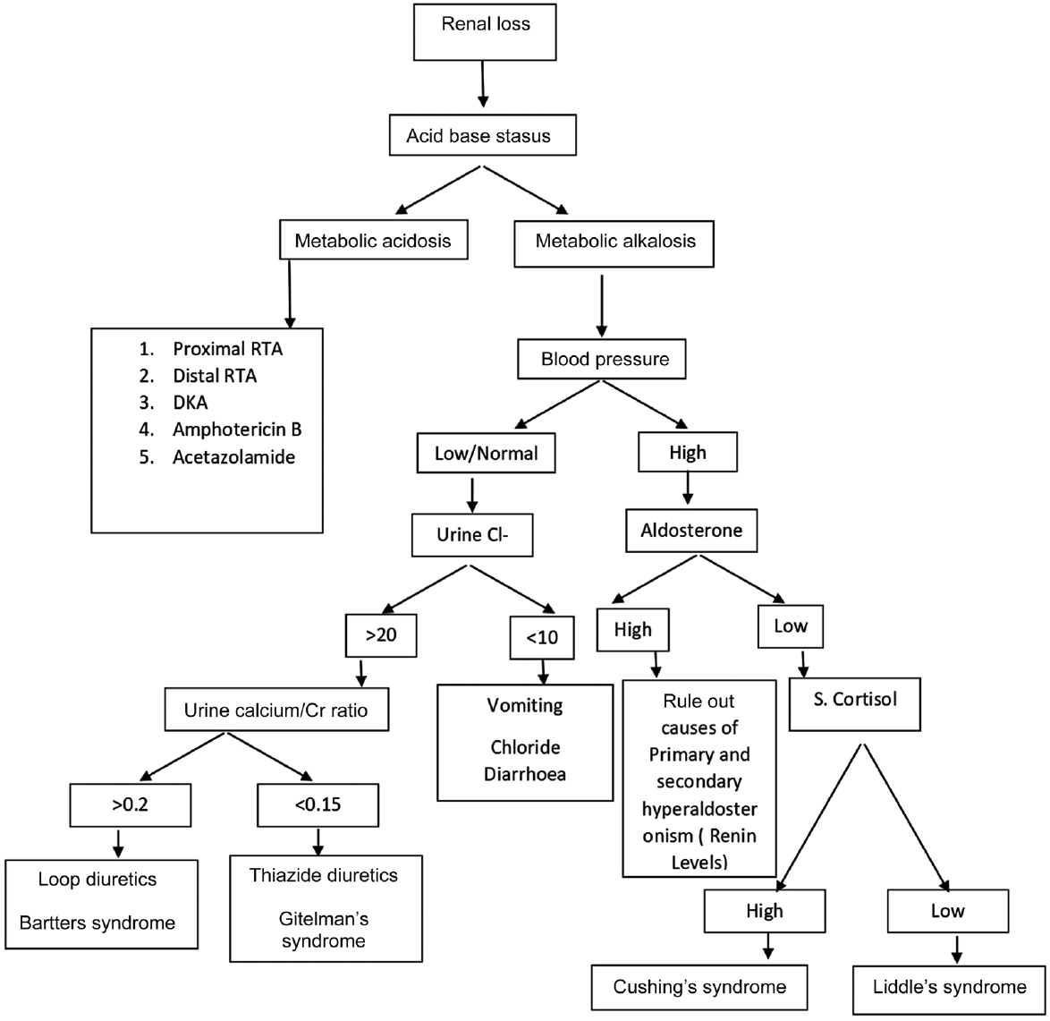 Evaluation of renal causes of hypokalemia. DKA, Diabetic Ketoacidosis; RTA, renal tubular acidosis.
