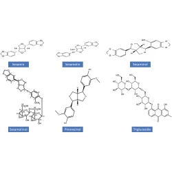 Article figure