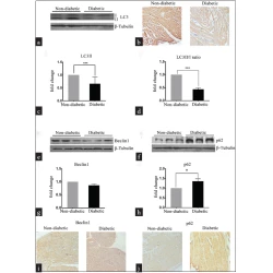 Article figure