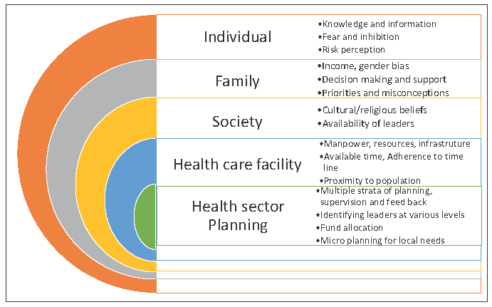 Barriers in cervical cancer screening.