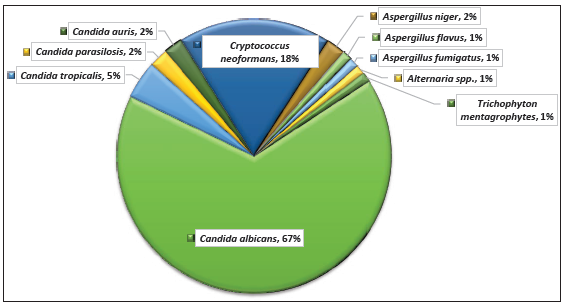 Distribution of fungal species in human immunodeficiency virus (HIV) patients.