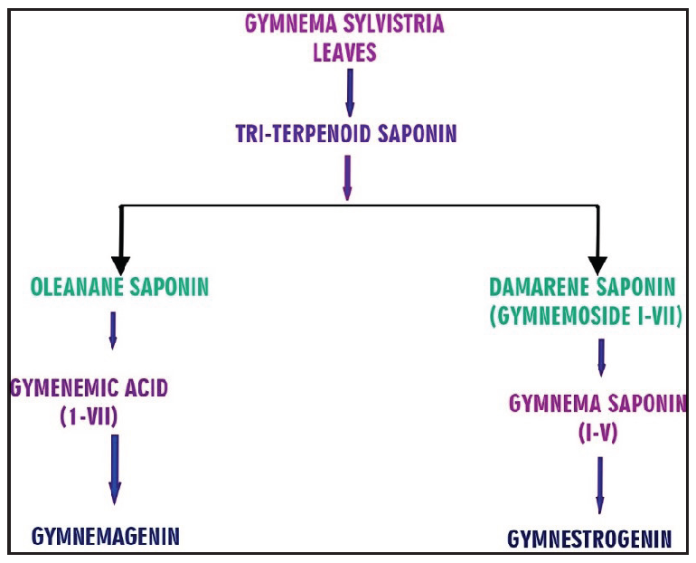 Class of tri-terpenoid saponin. Source: https://pmc.ncbi.nlm.nih.gov/articles/PMC6830388/