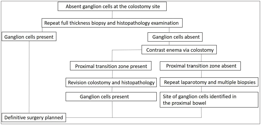 Management algorithm for patients diagnosed with Hirschsprung’s disease and absent ganglion cells at the colostomy site.