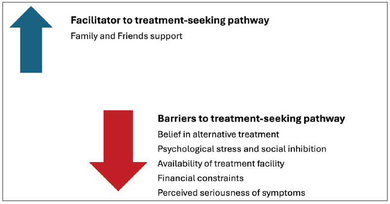 Qualitative qualifiers affecting the treatment-seeking pathways. Source: https://www.sciencedirect.com/science/article/abs/pii/S1877782113001641