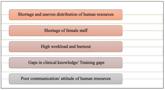 Human resources-related barriers to access to breast cancer care.