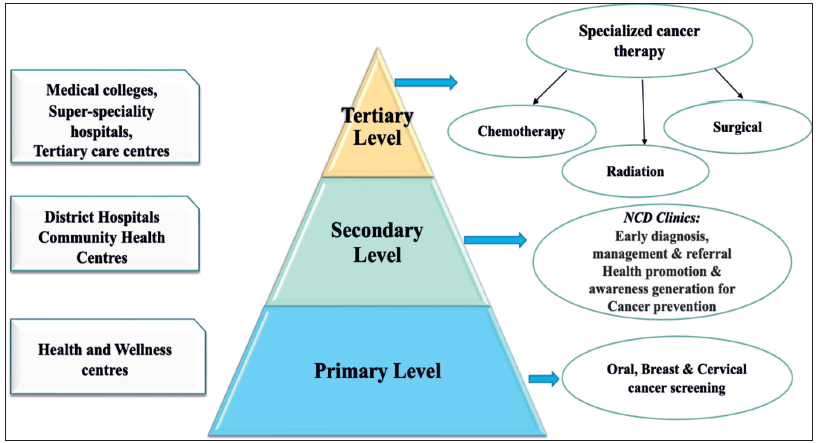 Indian health system framework – cancer care. NCD: Non-communicable disease